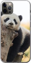 Geschikt voor iPhone 12 Pro Max hoesje - Panda - Boom - Licht - Siliconen Telefoonhoesje
