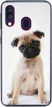 Geschikt voor Samsung Galaxy A40 hoesje - Hond - Huisdieren - Portret - Siliconen Telefoonhoesje