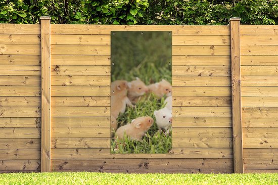 Décoration murale d'extérieur Hamster doré avec garçon - 80x160 cm - Toile de jardin - Poster extérieur