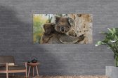 Schuttingposter Koala's - Kind - Boom - Kinderen - Jongens - Meiden - 200x100 cm - Tuindoek