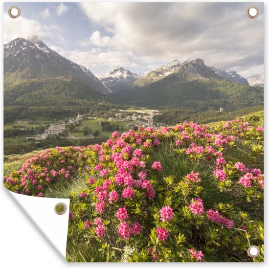 Posters de jardin Prairie fleurie - Montagnes - Rose - 50x50 cm - Toile jardin - Affiche extérieure