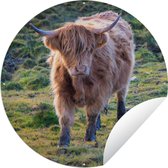 Tuincirkel Schotse Hooglander - Gras - Herfst - 60x60 cm - Ronde Tuinposter - Buiten