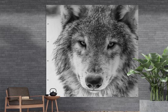 Poster de Jardin Loup en hiver en noir et blanc - 200x200 cm - Toile jardin - Poster extérieur