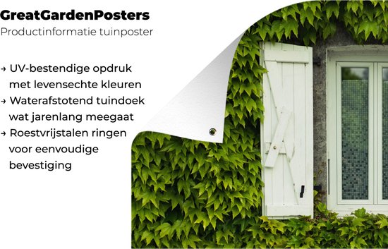 Poster de jardin Fenêtre à volets entre les plantes grimpantes - 80x40 cm