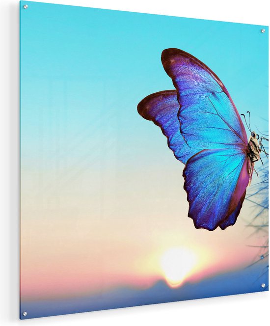 Artaza Glasschilderij - Blauwe Vlinder Bij Paardenbloemen  - Plexiglas Schilderij - Foto op Glas