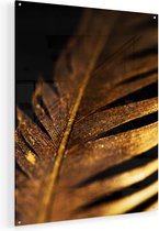 Artaza Glasschilderij - Gouden Veer  - 80x100 - Groot - Plexiglas Schilderij - Foto op Glas