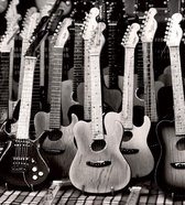 Dimex Guitars Collection Vlies Fotobehang 225x250cm 3-banen