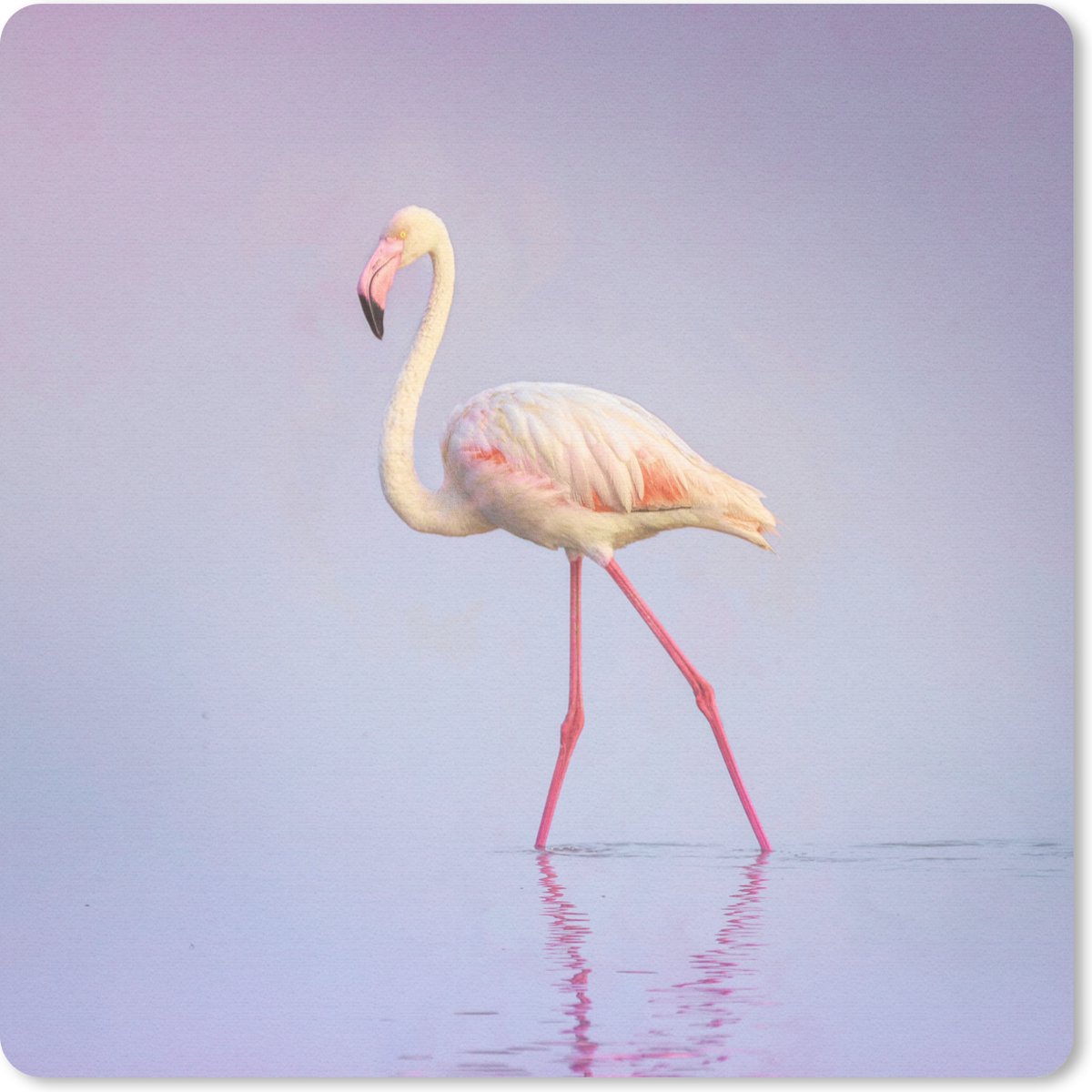 Muismat 30x30 cm - Mousepad Flamingo - Water - Roze - Muismatten