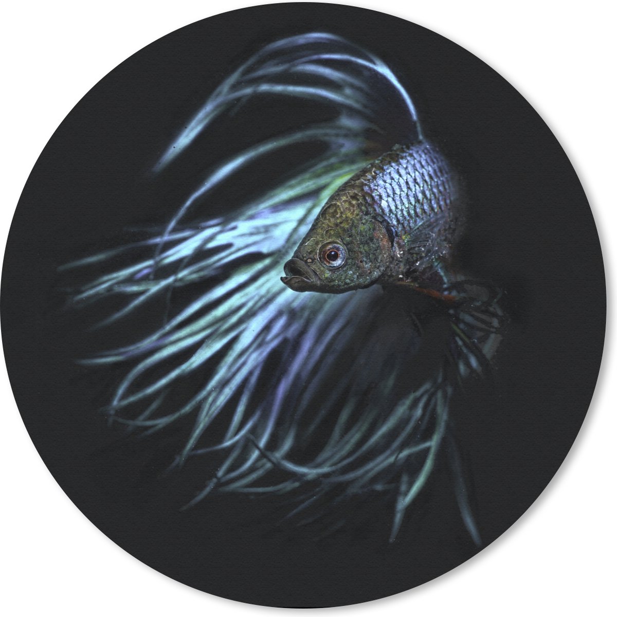 Muismat - Mousepad - Rond - Vis - Staart - Zwart - 30x30 cm - Ronde muismat