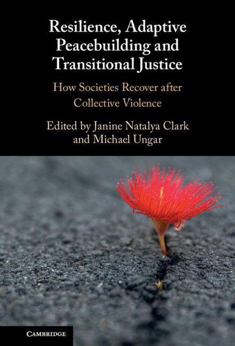 Resilience, Adaptive Peacebuilding and Transitional Justice (ebook ...