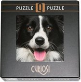 Curiosi Q-puzzel (extra moeilijk) - Hond (66 stukjes)