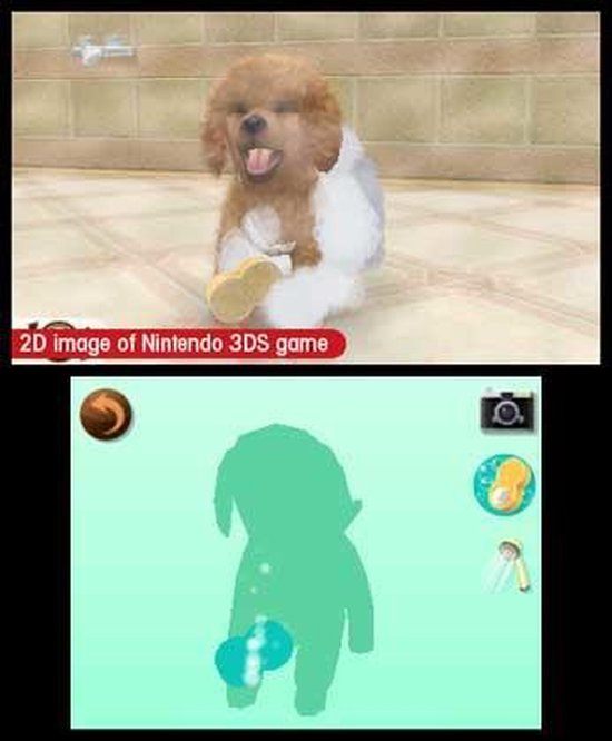 Nintendogs and Cats 3D: Toy Poodle /3DS (ORIGINAL VERSION) - Nintendo