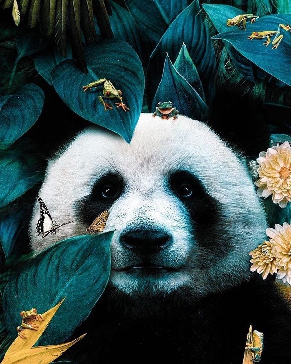 Mona Lisa Dielay Diamond Painting Pakket Panda en Kikkers 40x30 cm Complete Set Volledige Bedekking Ronde Steentjes