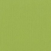 Bazzill Textuurpapier - Mono Canvas - 30.5x30.5cm - Parakeet - 25 vellen