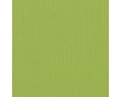 Bazzill Textuurpapier - Mono Canvas - 30.5x30.5cm - Parakeet - 25 vellen