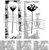 Hobbysjabloon - Template 6x6" 15x15cm wildflower duet