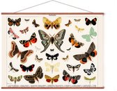 Poster In Posterhanger - Vintage Vlinders - 50x70 cm - Kader Hout - Ophangsysteem - Dieren - Kinderkamer - Educatief - Retro