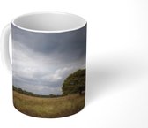 Mok - Donkere wolken boven het Nationaal Park De Groote Peel - 350 ML - Beker