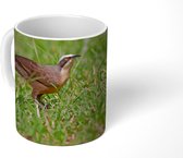 Mok - Panorama van een timalia in het gras - 350 ML - Beker