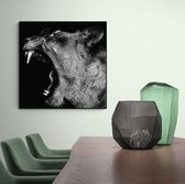 Artistic Lab Poster - Lioness Roar Dibond - 100 X 100 Cm - Multicolor