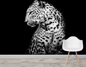 Dark Leopard behang