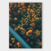MPH Poster - Forest Road Dibond - 180 X 120 Cm - Multicolor