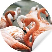 WallCircle - Stickers muraux - Cercle de papier peint - Groupe de flamants roses sur les flaques d'eau - ⌀ 120 cm - Cercle mural - Autocollant - Papier peint autocollant rond XXL