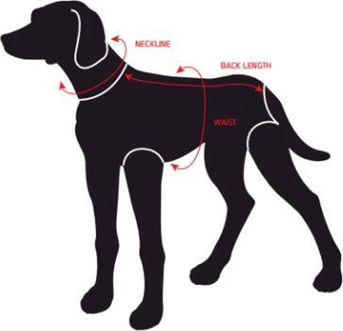 Bol.com DOG - Hondenzwemvest - Neongeel - Maat XS - 0-3kg aanbieding