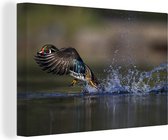 Canvas schilderij 180x120 cm - Wanddecoratie Eend - Water - Veren - Muurdecoratie woonkamer - Slaapkamer decoratie - Kamer accessoires - Schilderijen