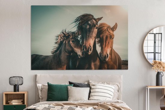 Tableau sur toile Paarden - Gros plan - Soleil - 150x100 cm - Décoration murale