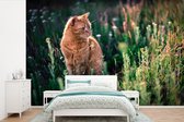 Chat rouge dans un champ de fleurs 600x400 cm