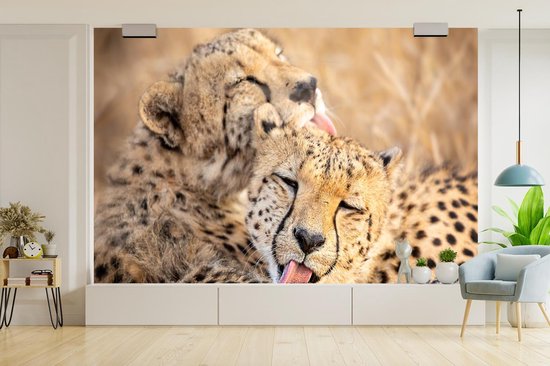 Deux guépards sont les meilleurs amis 360x240 cm