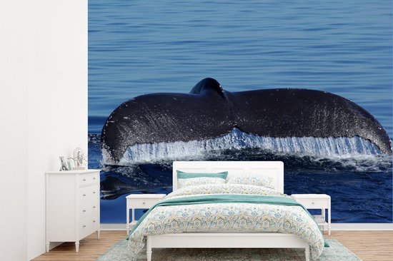 Papier peint photo peint photo vinyle - Queue de baleine bleue au dessus de la surface de l'eau largeur 330 cm x hauteur 240 cm - Tirage photo sur papier peint (disponible en 7 tailles)