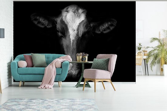 Papier peint photo peint photo vinyle - Vache sur fond noir largeur 330 cm x hauteur 220 cm - Tirage photo sur papier peint (disponible en 7 tailles)