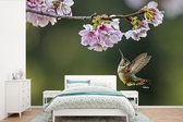 Behang - Fotobehang Vogel - Bloesem - Kolibrie - Breedte 450 cm x hoogte 300 cm