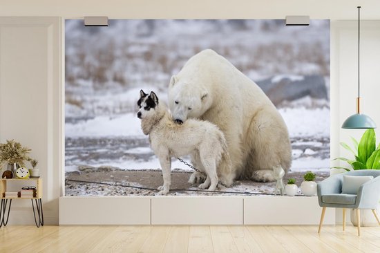 Amitié spéciale entre chien et ours polaire 360x240 cm