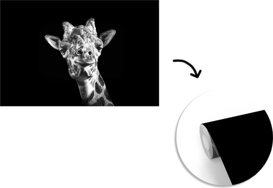 Papier peint - Papier peint Papier peint photo Girafe - Animal - Zwart - Wit - Largeur 390 cm x hauteur 260 cm