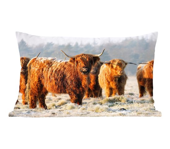 Sierkussens - Kussen - Schotse hooglanders op een winterochtend - 50x30 cm - Kussen van katoen