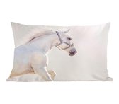 Sierkussens - Kussen - Wit paard dat voor een lichte achtergrond galoppeert - 50x30 cm - Kussen van katoen