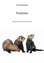 Frettchen