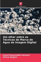 Um olhar sobre as Tecnicas de Marca de Agua de Imagem Digital