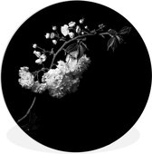 WallCircle - Wandcirkel ⌀ 30 - Een kersenbloesem tegen een zwarte achtergrond - zwart wit - Ronde schilderijen woonkamer - Wandbord rond - Muurdecoratie cirkel - Kamer decoratie binnen - Wanddecoratie muurcirkel - Woonaccessoires