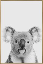 JUNIQE - Poster met kunststof lijst Koala Classic -20x30 /Wit & Zwart