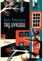 Taş Uykusu