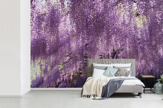 Blooming fotobehang de glycines