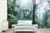 Behang - Fotobehang Een mistig regenwoud in Costa Rica - Breedte 450 cm x hoogte 300 cm