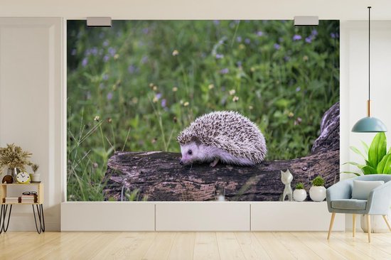 Papier peint photo peint photo vinyle - Hérisson sur souche d'arbre largeur 360 cm x hauteur 240 cm - Tirage photo sur papier peint (disponible en 7 tailles)
