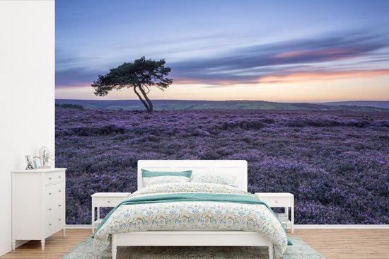 Papier peint photo peint photo vinyle - Arbre dans la bruyère largeur 330 cm x hauteur 220 cm - Tirage photo sur papier peint (disponible en 7 tailles)