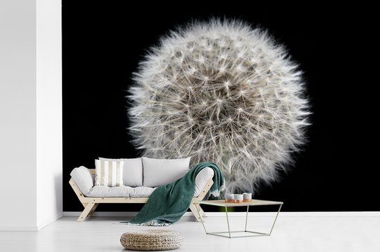 Papier peint photo peint vinyle - Un pissenlit sur fond noir largeur 525 cm x hauteur 350 cm - Tirage photo sur papier peint (disponible en 7 tailles)