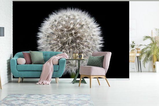 Papier peint photo peint vinyle - Un pissenlit sur fond noir largeur 525 cm x hauteur 350 cm - Tirage photo sur papier peint (disponible en 7 tailles)